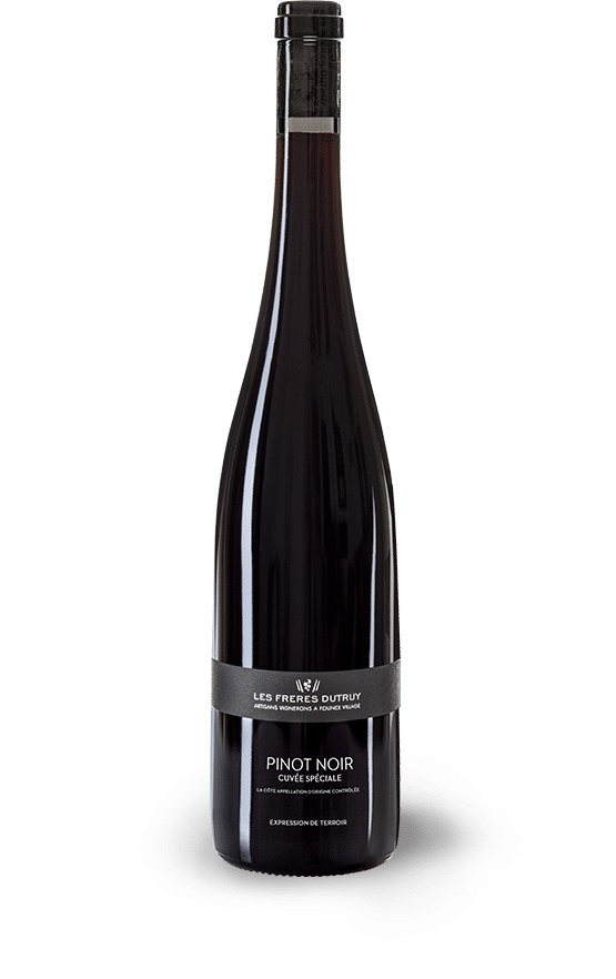 pinot-noir-spé