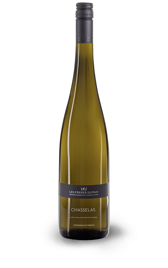 Chasselas